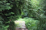 Finding Our Way Home to Soul