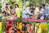 The American Academy of Pediatrics Misinforms On GMO Foods