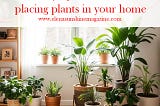 Healthy tips and ideas for placing plants in your home