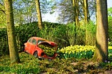 Before the Daffodils Bloom