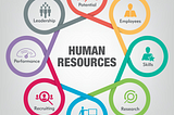 Exploring the Different HR Career Paths