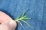 Go Touch Grass