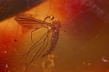 A Short History of Malaria in Greece