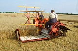 Hay, Harvests, Hedging and Honey