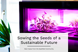 Sowing the Seeds of a Sustainable Future