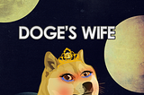 WIFEDOGE,DOGE’S WIFE