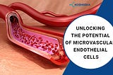 Unlocking the Potential of Microvascular Endothelial Cells