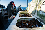 COVID-19: légère remontée du prix du homard aux Îles-de-la-Madeleine