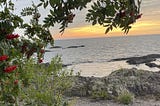 Orange and yellow sunset over Lake Superior, framed by green branches with bright red berries on the left and rocks and sand below.