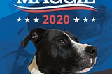 My Dog Should be President