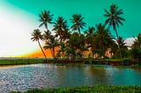 Kerala- The Best Of Responsible Travel