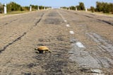 Turtle as a Worker