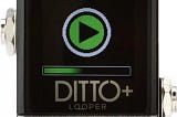 Ditto + Guitar Looper Full Review!