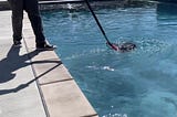 Costs Continue to Rise in the Pool and Spa Industry