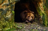 Sometimes Hibernation Is The Best Response