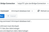 Arbitrary Command Execution in Metadata Hub (CVE-2024–37382)