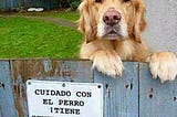 Cuidado con el perro!!!