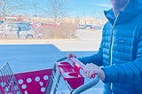 Shopping Cart Control Freak Mom on the Loose at Target