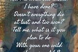 I said Yes to Being Alive: I Took an Unexpected Lover