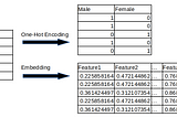 Neural Network Entity Embeddings as Model Inputs