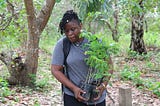 Conservation de la forêt de Tanhounzoun au Bénin