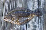 Flounder: The Funky Flatfish That’s Anything But a Fluke