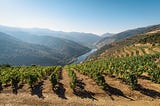 Europe’s “Heroic” vineyards at odds with climate change