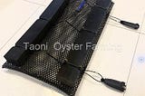 Oyster Mesh Bags