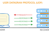 Packet Pacers: optimizing the UDP Writer performance in Golang