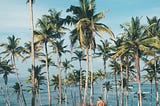 Mirissa Beach Retreat: Bask in Sun-Kissed Bliss with Ruisha Tours