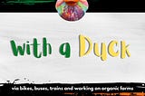 Round Ireland with a Duck