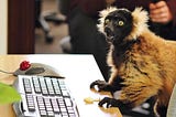 Machine Coding Round