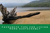 10 easy sustainable living tips and ideas to implement