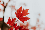 I am Canadian