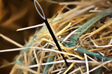 Finding the rare disease needle in the healthcare data haystack