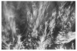 Title Contemporary Photography Communication No2135 SETI Optical Search, 2026 Robert A. Ireland The Contemporary Cloud Photographer The Quality of Being Complex. SETI Optical Sky Search, Nexus Cloud Reality.