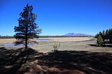 a tree in a shadow, a meadow with ponds dispersed behind it and a mountain range in the distance
