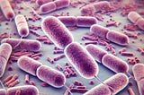 Microscopic view of Gram-positive, lancet-shaped diplococci bacteria arranged in pairs. The bacteria are stained purple due to Gram staining, with elongated and slightly pointed ends. The background is blurred, typical of a light microscope image, with faint cellular structures visible, giving the scene a clinical and scientific appearance often seen in microbiology laboratories.