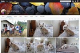10,000 photos and videos from flickr to Google Photos