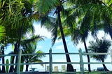A wooden fence, palm trees and sun loungers against a blue sky with white clouds