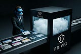 PriveX as the Private DeFi Layer for Perps