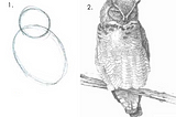 Instructions on How to Draw an Owl — Step 1: Draw some circles. Step 2: Draw the rest of the owl.