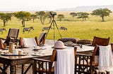 Unforgettable Adventures Await on a Serengeti Safari Tanzania