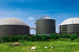 Biogas: Exploring the Potential of Algae as a Sustainable Energy Source A New Frontier in Renewable…