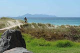 The 30 Regional Parks of Auckland