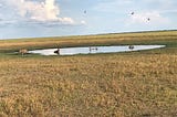 Liuwa Plains Natl Park — Zambia