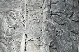 Half Dome Scramble in Yosemite
