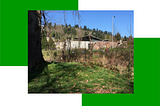 Green Kirkland — #Match10 @kirklandgov