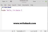 how to write a bash script