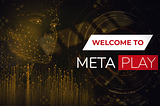 So what is MetaPlay and what can we offer you?